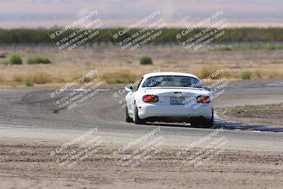 media/Oct-04-2025-OnGrid (Sat) [[44bd565ffa]]/Purple Group/Grapevine/